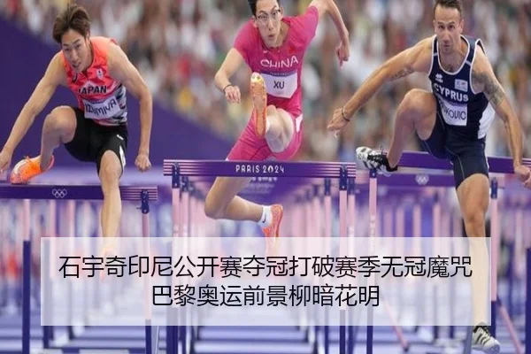 shi-yu-qi-yin-ni-gong-kai-sai-duo-guan-da-po-sai-ji-wu-guan-mo-zhou-ba-li-ao-yun-qian-jing-liu-an-hua-ming-2-878.jpg